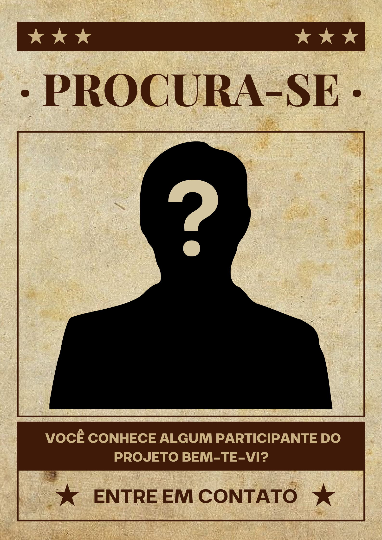 Bem-te-Vi